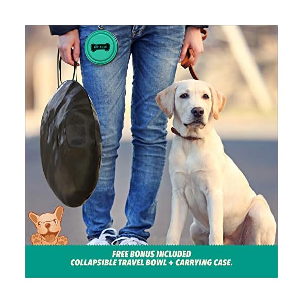 Ruff-n-Ruffus-Portable-Foldable-Pet-Playpen-Free-Carrying-Case-Free-Travel-Bowl Pet Playpen and Free Carrying Case