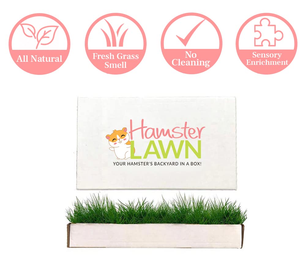 DoggieLawn Hamster Grass Mat - Real Grass Bed for Indoor & Outdoor, Rabbit & Bunny - Disposable Fresh Lawn (Petite)
