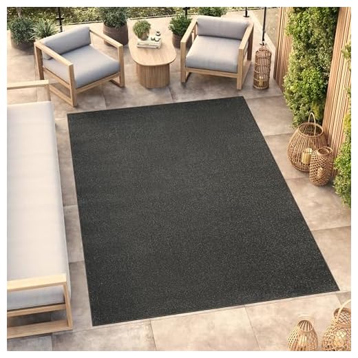 TAPISO Mono Tapis Poils Ras Design Moderne Gris Foncé Motif Uni Tapis Salon Chambre Adulte Salle à Manger Cuisine Résistant Doux Fin Oeko-TEX 120 x 170 cm