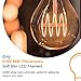 BLINGCOLOR A19 Vintage LED Edison Light Bulbs 40 Watt, 4-Pack Dimmable A19 4W 2200K Amber Warm Light Bulbs, E26 Base, 4W Equal 40 Watt Incandescent Bulbs, Decorative Antique Spiral LED Bulb, 300LM