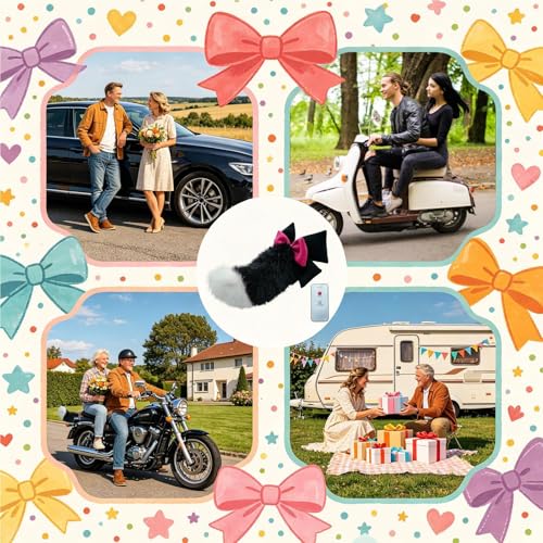 Queue de chat pour auto réaliste et amovible accessoire de camping-car