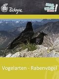  Vogelarten - Rabenvögel - Schulfilm Biologie
