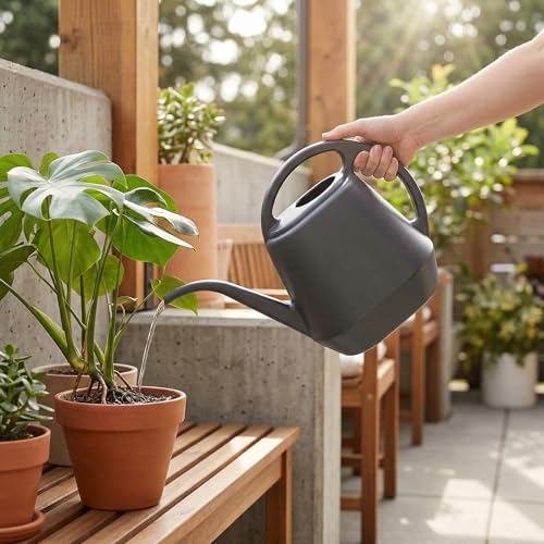 Arrosoir en plastique gris 3,8 l pour arrosage de plantes extérieures