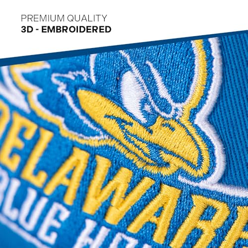 Gorra bordada ajustable Universitario Delaware miniatura 3