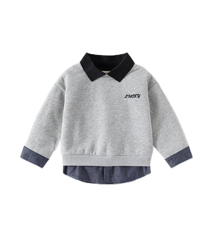 Kids Boy Autumn Long Sleeve Polo Neck Toddler Sweatshirt Contrast Collar Cuff Hem Fake Two - Piece Pullover