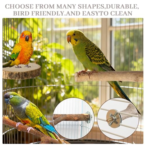 image for StyEdEk 8 Pack Natural Wood Bird Perches, Parrot Perch Stand Bird Cage