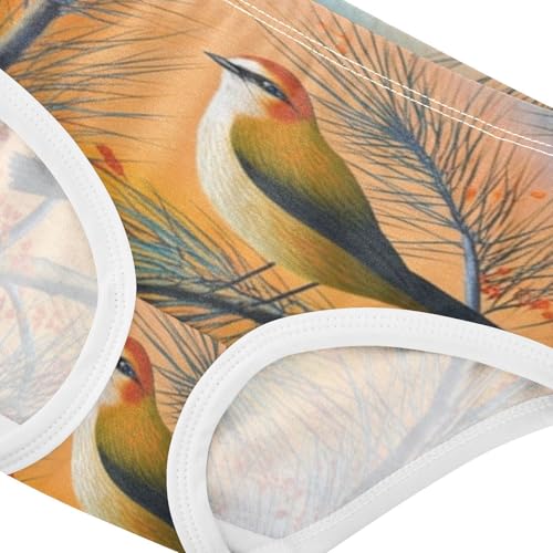 Bird Pine Branch Orange Little Girl Panties Girls Underwear Toddler Cotton Durable Undies Kids Briefs 2t4