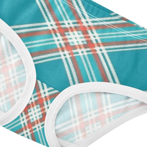 Girls' Underwear Soft Touch Organic Underwear for Kids Plaid Pattern in Sizes 2T,3T, 4T, 5T, 6Y and 8Y4