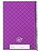 The Superior Register's Premium Check Book Register & Debit Card Ledger Notebook - Checking Account Register, Business Ledger, Cash Log & Expense Tracker - Standard Edition - 1 Pc, Purple