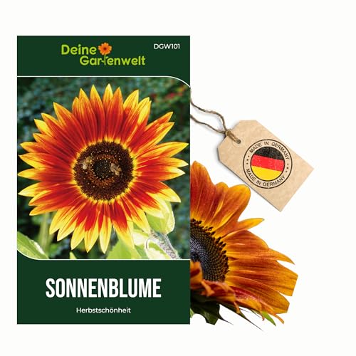 Sonnenblumen Herbstschönheit Samen - Helianthus annuus - Sonnenblumensamen - Blumensamen - Saatgut für 30 Pflanzen Sonnenblumen Herbstschönheit Samen - Helianthus annuus - Sonnenblumensamen - Blumensamen - Saatgut für 30 Pflanzen