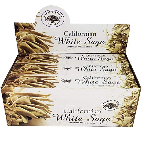 Encens Green Tree - White Sage - Sauge Blanche  lot de 12 boites