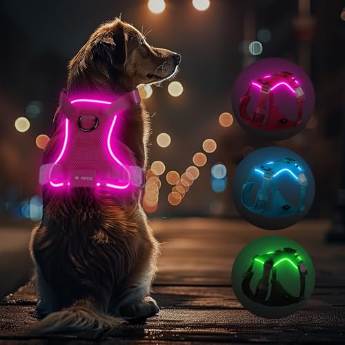 Light Up Dog Hundegeschirr Leuchtend LED Aufladbar - Leuchtgeschirr Leuchtend für Klein Mittelgroße Grosse Hund, Reflektierende Brustgeschirr Beleuchtetes Hundegeschirr, 4-Punkt Verstellbar,Rosa,S