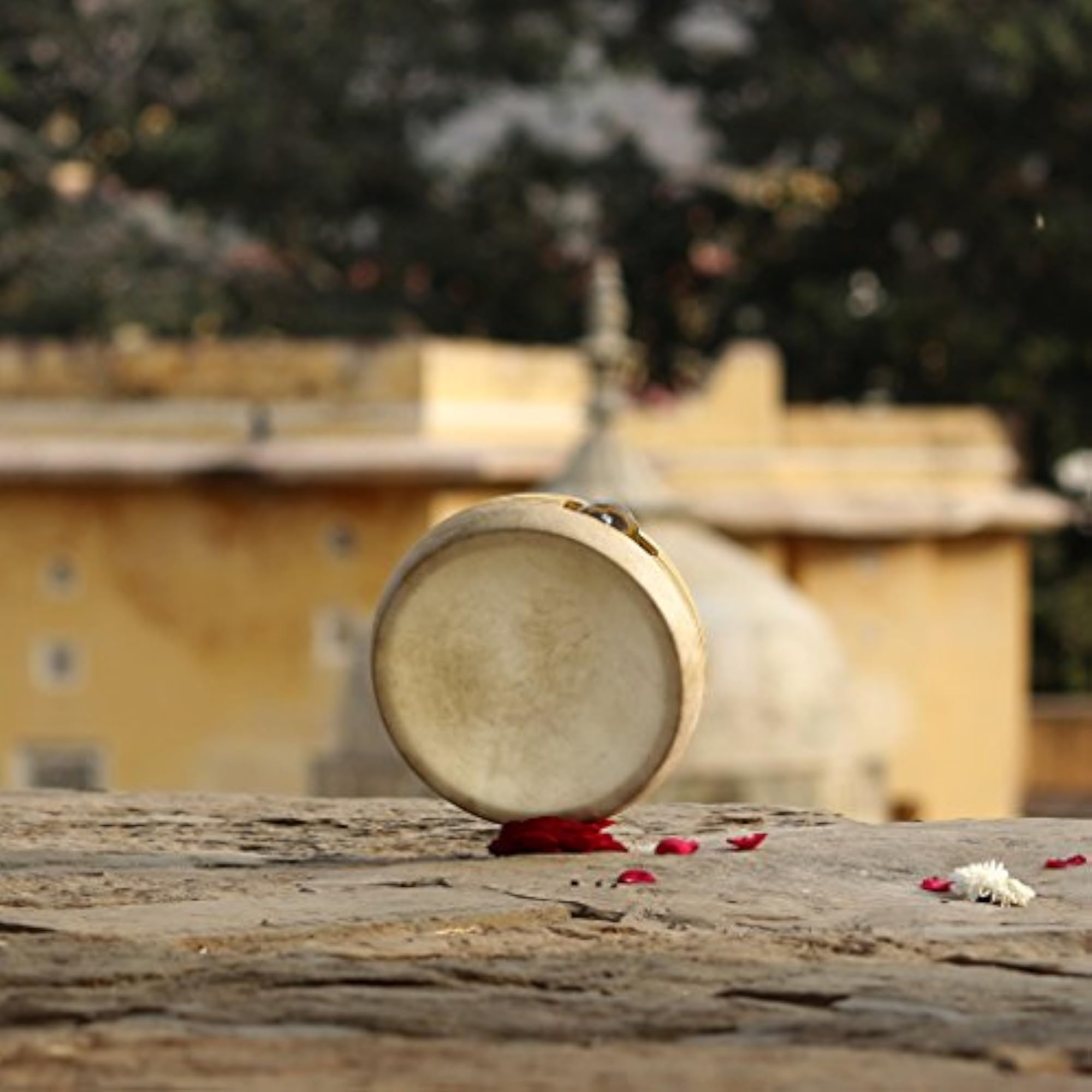 DeKulture Kanjira Hand Percussion Instrument