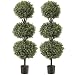 Northwood Calliger 4.6’ Artificial Topiary Triple Ball Boxwood Trees Highly Realistic Potted Decorative Buxus Shrubs | Fake Plastic Plants for Home/Garden Décor | Indoor & Outdoor Use|UV Protected (2)