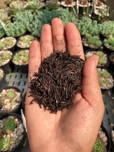 Casca de Arroz Carbonizada Substrato Para Plantas Pacote (3 Litros)