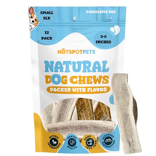 hotspot pets Small Premium Split Elk Antlers for Dogs - 3''-5'' Inch Long Dog Chews, (12 Pack) Naturally Shed Antler Bone for Small Breed Aggressive Chewers - Made in USA - Promotes Dental Hygiene
