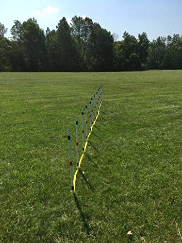 The Dog Agility Shop Set of 12 Weave Poles, Dog Agility Training Equipment for Dogs - image 2