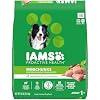 IAMS Proactive Health Minichunks Adult Dry Dog Food with Real Chicken 30 lb Bag