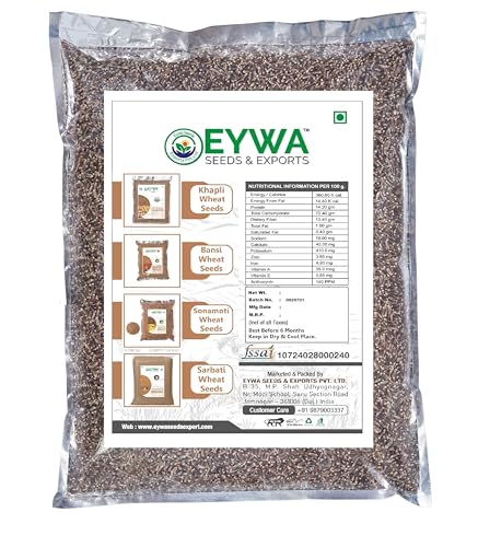 Image of Organic Black Wheat Grains Seeds (5 Kgs) | Kale Gehu Ka Seeds | For Farming, Sowing & Agriculture Use | Produce of India | 100% Natural & Non-GMO | By Eywa