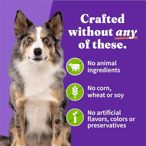 Halo Holistic Wet Dog Food, Plant-Based Recipe, Superfoods, 5.5 oz, 12-Pack - image 5