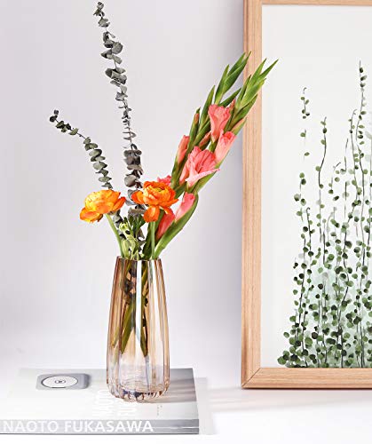 Luxspire Glass Vase, Ins Style Irised Crystal Clear Floral Flower Plant Decorative Container Vase for Home Office Desk Dinner Decoration, Ideal Gifts for Birthday Wedding Housewarming - Amber - Afbeelding 4