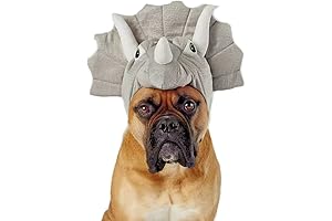 Snazzy Triceratops Dinosaur Dog Costume - A Delightful Costume for Your Furry Friend