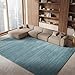 Safavieh Vision Collection VSN606B Modern Contemporary Ombre Tonal Chic Area Rug, 6' x 9', Aqua