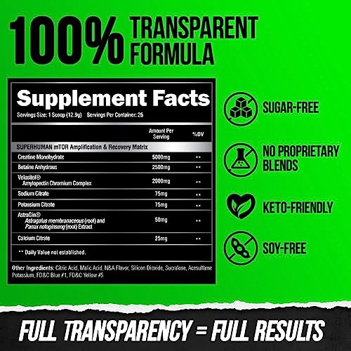 Alpha Lion FETEGT5758 Superhuman Post Workout Recovery thumb #4