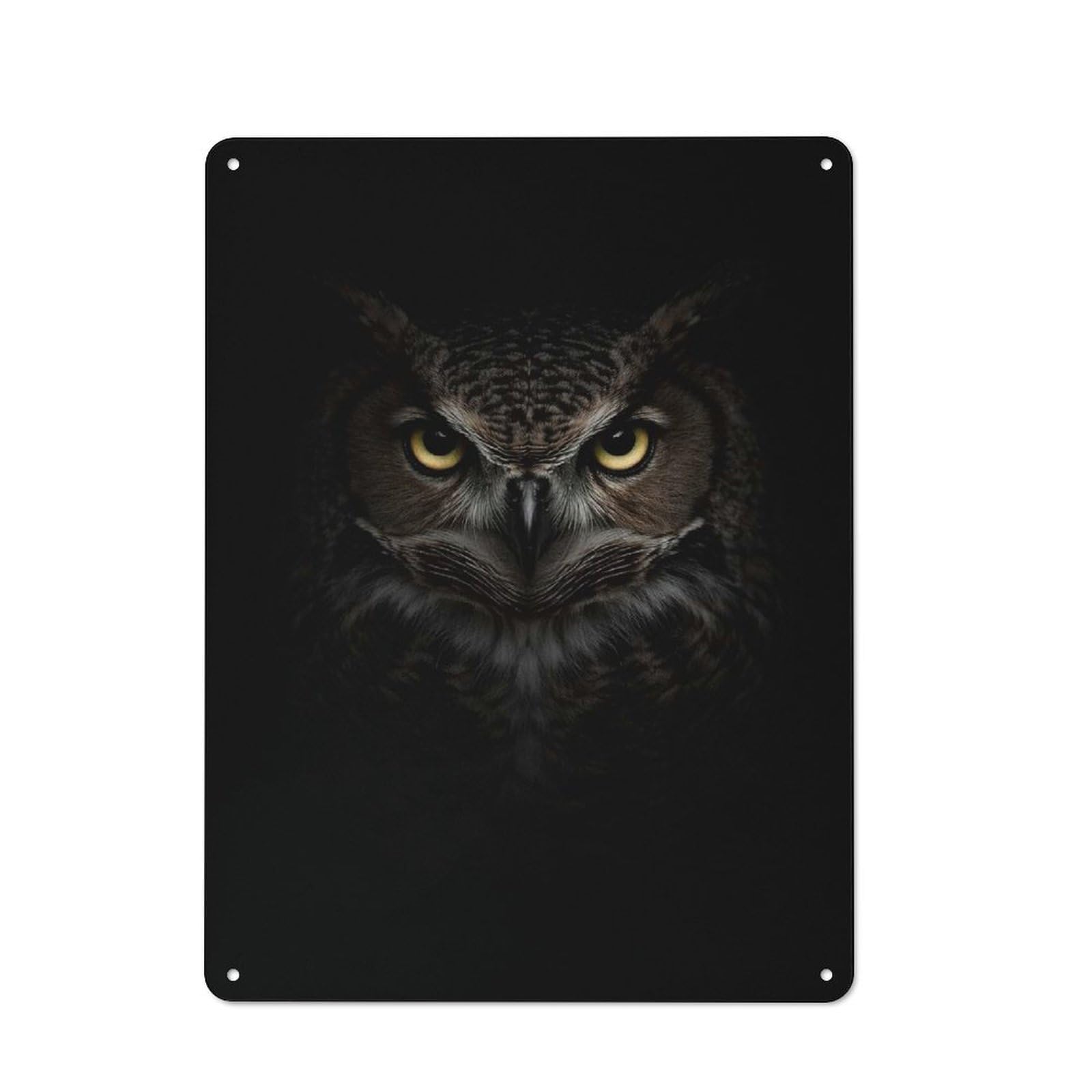 Intense Owl Portrait Vintage Metal Wall Decor 40x30cm, Tin Sign for Cafe, Pub, Workshop Or Home Bar, Small Accent for Blank Walls