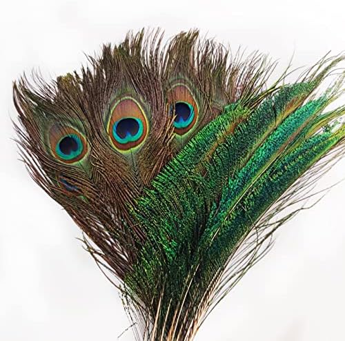 20 pcs Real Natural Peacock Feathers Bulk, 2 Styles Peacock Feathers for Crafts Multicolored DIY Craft Hat and Vase Decoration, Easter Decoration Wedding Flower Arrangement and Home Decorations