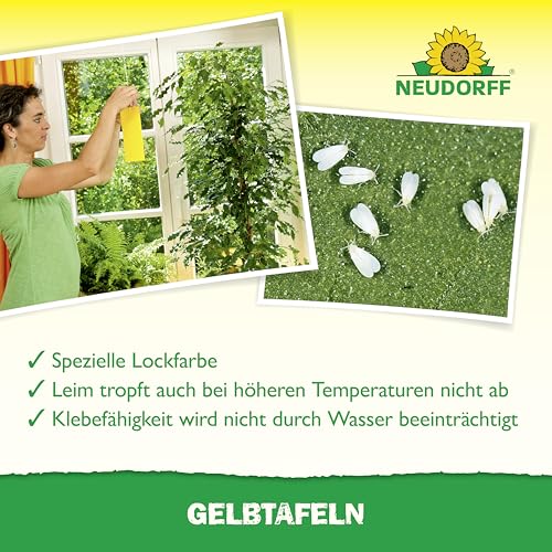 Tiras antiparásitos amarillas para proteger plantas de interior pequeñas 6