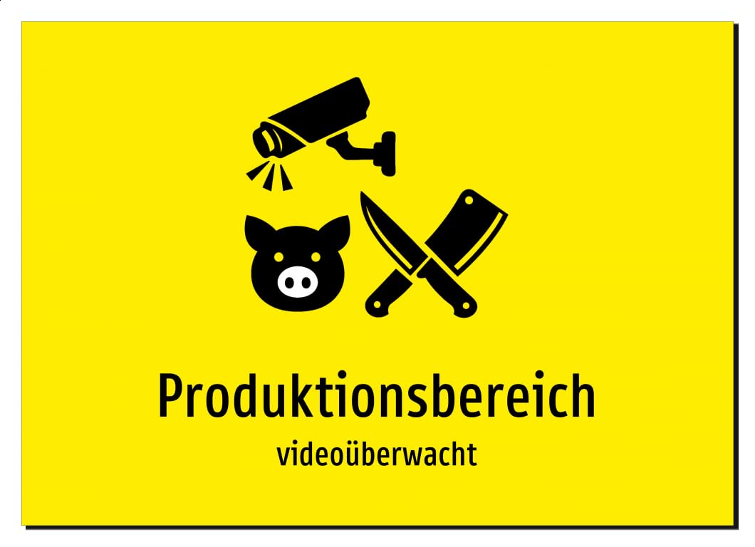 42475-DE-S-08 | Produktionsbereich - videoüberwacht