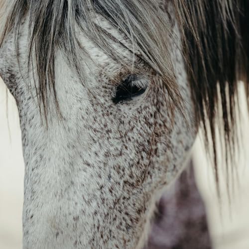 60 Seconds for Story Prompt Friday: How Can We Know the Good or Bad Nature of What Happens?