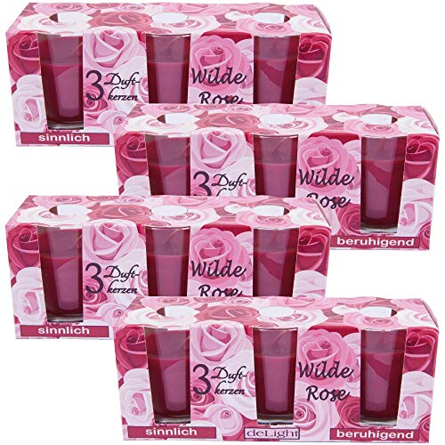 HS Candle Duftkerzen Classic 12er Pack im Glas, lange Brenndauer und angenehmer Duft (Wilde Rose) Cover
