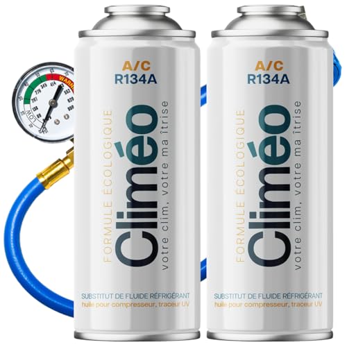 Kit recharge climatisation R134a R12 de 2 canettes 400 ml avec flexible de remplissage autonome