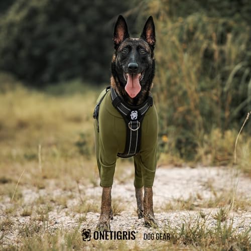 OneTigris Hund Onesie, FUZZBUD Einteiler für Große und Mittelgroße Hunde Weicher Warmer Dehnbarer Mehrzweck Hundepyjama für Haarausfall, Allergien, Anti-Lecken, Wundschutz - Grün L