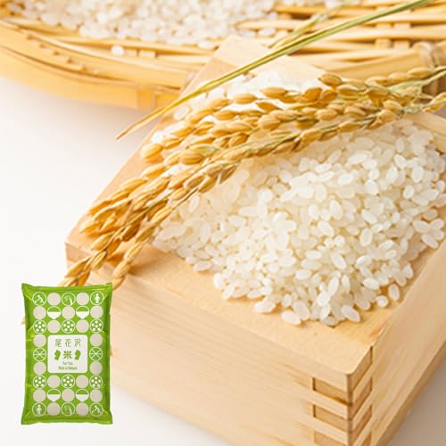 2025年産 精米 ひとめぼれ 5kg kn-hisxa5