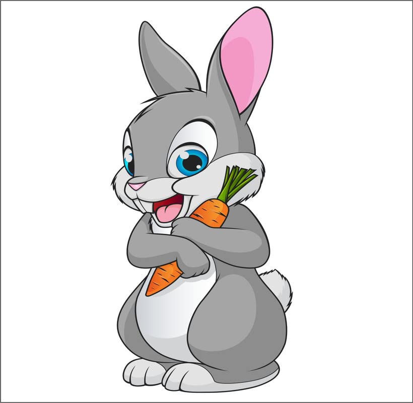 Jnm Enterprises Rabbit Decal Mural Indoor and Outdoor Decoration Wall Stickers for Bedroom PVC Vinyl Multicolour (5x91cm) (B0B3N6TMXH) Amazon Price History, Amazon Price Tracker