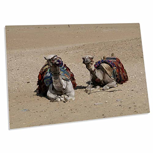 3dRose Angelique Cajam Egypt - Mouse Pad grande para escritorio
