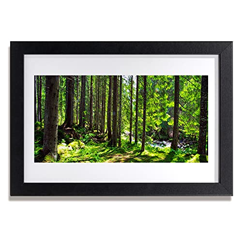 Affiche encadrée 30x20 cm arbre forêt Tulup pour salon