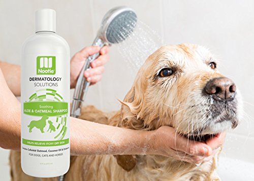 Nootie Dog Shampoo With Soothing Aloe Best For All Pets Including Dogs, Cats, And Horses - 100% All Natural Deodorizing Soap Free Formula - Clear, 16 Fl Oz (Pack Of 1), Sao16 #TOP2