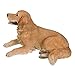 Realistic Life Size Golden Retriever Statue Detail Sculpture Glass Eyes Hand Painted Resin 24 inch Figurine Home Decor Amazing Likeness