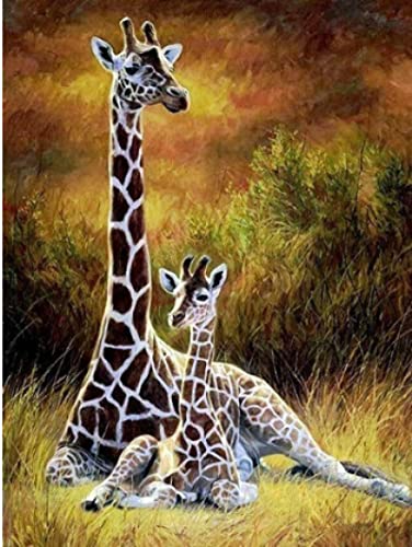 Point de Croix Kits de Broderie Estampé Girafe 11CT Toile 40x50cm pour Loisir Créatif