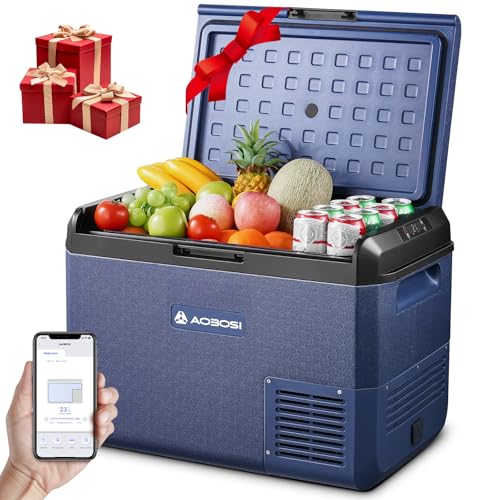 AAOBOSI Frigo Portatile 50L: Frigo da Campeggio Elettrico 12V/220V, IPX4