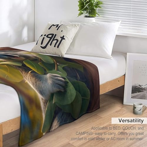 Couverture koala impression 3D grand format en polaire idée cadeau literie