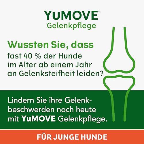YuMOVE Gelenktabletten Hund Bis 5 Jahre 60 Stück - Patent Angemeldet ActivEase Grünlippmuschel Hund & Glucosamin Junge Hunde - Frühzeitige Unterstützung Gelenke & Beweglichkeit - Hunde Gelenktabletten