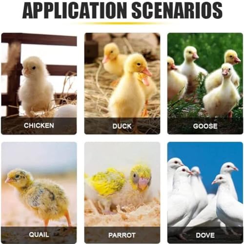 Tapis de nidification poule pondeuse coco 30cm lot de 6 doublure lavable nid - 8