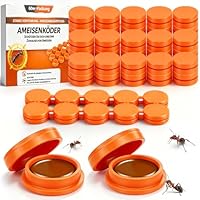 60 Stück Ameisenköderdose für Innen - Ameisenfalle Ameisen Gel Köderdose für Innenräume und Außen, Ameisenköder Ant für Haus, Küche, Balkon, Terrasse & Garten