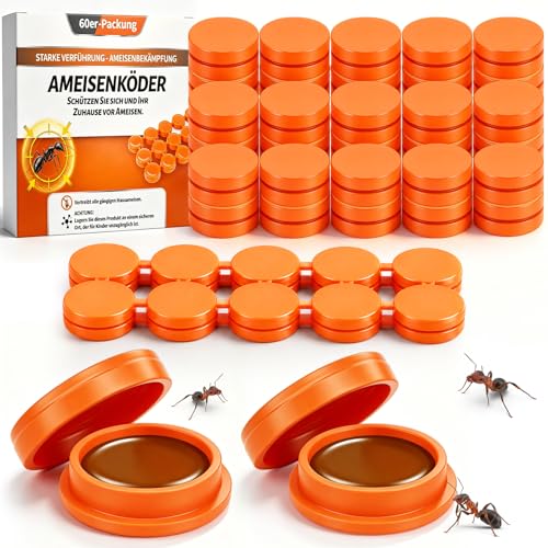 60 Stück Ameisenköderdose für Innen - Ameisenfalle Ameisen Gel Köderdose für Innenräume und Außen, Ameisenköder Ant für Haus, Küche, Balkon, Terrasse & Garten