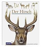  Der Hirsch (Meyers kleine Kinderbibliothek)